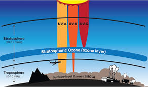 the ozone layer center for science