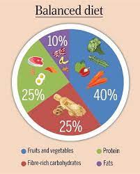 Well Balanced Diet Chart gambar png