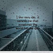 happy rainy day steemit