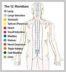 Chart Of 12 Basic Shiatsu Meridians Meridian Lines Health