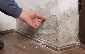 Rising Damp In An Old House