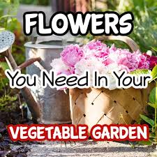 Growing In Your Vegetable Garden