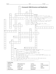 Dna molecule and replication worksheet answers page 53 from dna replication worksheet answer key. Dna And Replication Crossword Fill Online Printable Fillable Blank Pdffiller