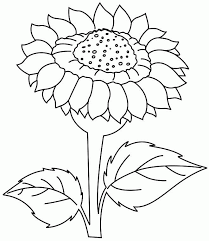 This printable sunflower coloring page is perfect for kids and adults. Printable Sunflower Coloring Home