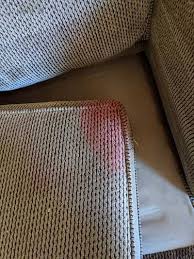 upholstery cleaning in appleton wi