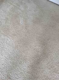 gallery clean carpet solutions llc