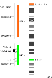 Children born with this chromosomal deletion have a. Xl Cri Du Chat Deletion Probe Metasystems Probes