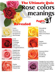 Rose Color Meaning Chart Www Bedowntowndaytona Com