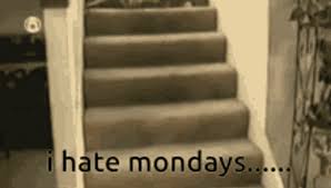 cat falling down stairs mondays