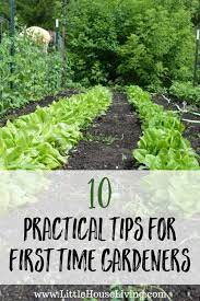Practical Tips For First Time Gardeners
