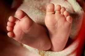 Baby Feet Newborn Leg - Free photo on Pixabay