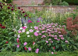 how to plant a mixed border