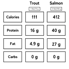 trout vs salmon what s the difference