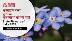state flowers of india 2022 check the