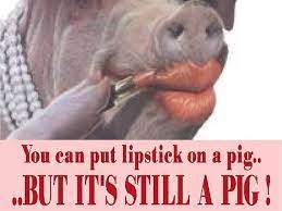 lipstick on a pig choose wisely