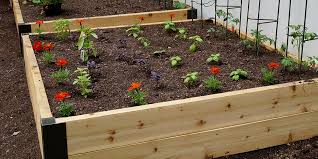 How To Grow Veggies In A Small Space