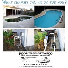 pool pros of pasco reviews spring