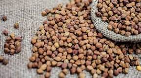 What is difference between Desi chana and Kabuli chana?