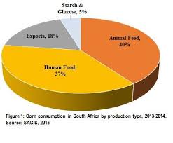 Agropages Com A Portrayal Of Corn Farming In South Africa