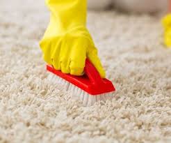 how to clean a carpet without a machine
