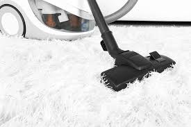 have clean carpets for the holidays