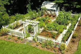 backyard vegetable gardens