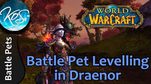 World Of Warcraft Battle Pet Levelling In Draenor Tips Tricks Wow Battle Pet Strategy Wod