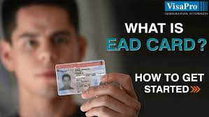 The ead is a plastic card that is approximately the same size as a credit card. What Is Employment Authorization Document Eligibility And Process
