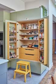 color should i paint my pantry shelves