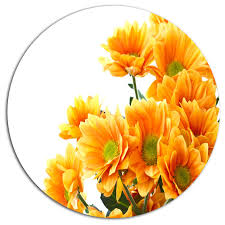 Orange Flowers Chrysanthemum Modern