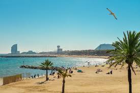 See 9,319 reviews, articles, and 5,676 photos of playa de la barceloneta, ranked no.88 on tripadvisor among 1,166 attractions in barcelona. 2 949 Barceloneta Beach Photos Free Royalty Free Stock Photos From Dreamstime