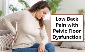 pelvic floor dysfunction and lower back