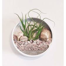 Round Air Plant Stand Clear Glass
