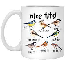 Amazon.com: OystersPearl Nice Tits Bird Mug Nice Tits Mug Fowl Language  Bird Mug Gift For Bird Lovers 11oz,White,AKKALAD6L8-11oz : Home & Kitchen