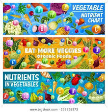 Vegetables Nutrient Vector Photo Free Trial Bigstock