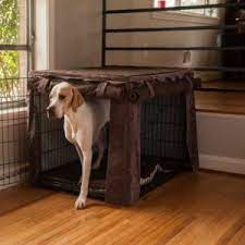 dog crates how to use them properly