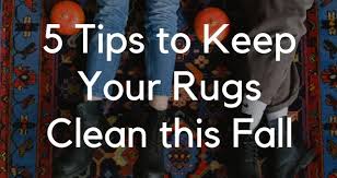 tips to keep your rugs clean this fall
