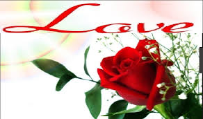 love red rose flower wallpaper love