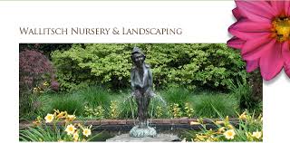 Landscape Design Louisville Cky