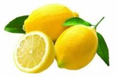 limon-ağacı-ne-kadar-büyür