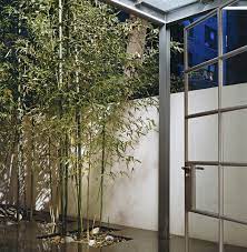Urban Garden W Tiled Floor And Bamboo