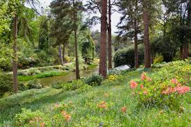 leonardslee lakes and gardens in bloom