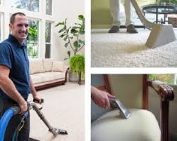 steam green carpet cleaning los