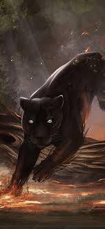 black panther fantasy art