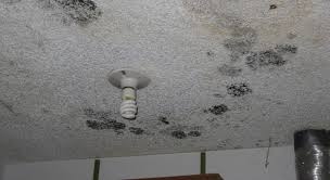 Black Spots On The Bathroom Ceiling
