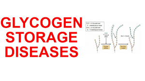 glycogen storage diseases you