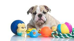 best dog toys for english bulldogs