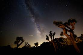 stargazing with kids in california