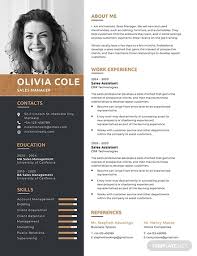 19 Resume Templates In Publisher Examples