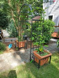 Heavy Duty Metal Arbor With Planters